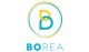 Borea
